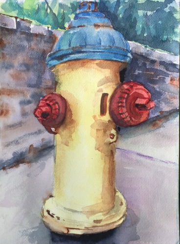 asheville fire hydrant